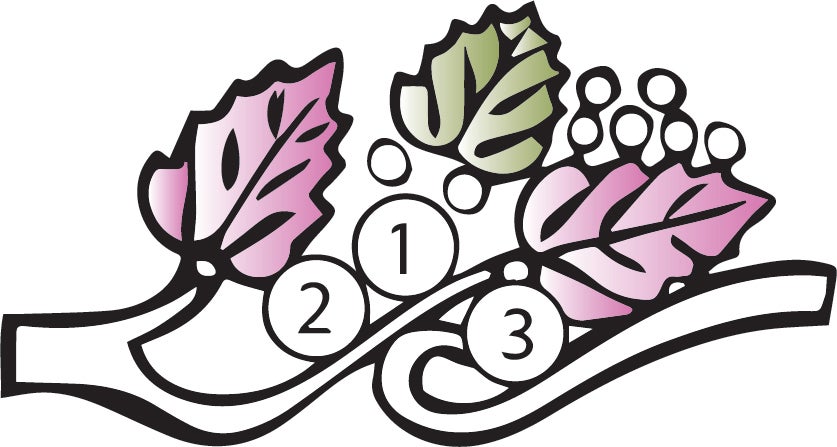 Black Hills Gold or Silver Mother's Ring - 2 to 6 stones