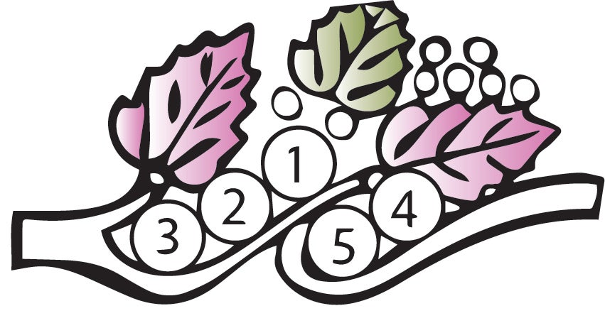 Black Hills Gold or Silver Mother's Ring - 2 to 6 stones