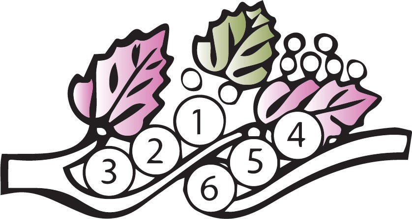 Black Hills Gold or Silver Mother's Ring - 2 to 6 stones