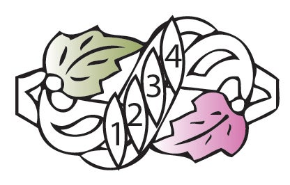 Black Hills Gold or Sterling Silver Mother&#39;s Ring - 2 to 6 stones