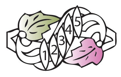 Black Hills Gold or Sterling Silver Mother&#39;s Ring - 2 to 6 stones