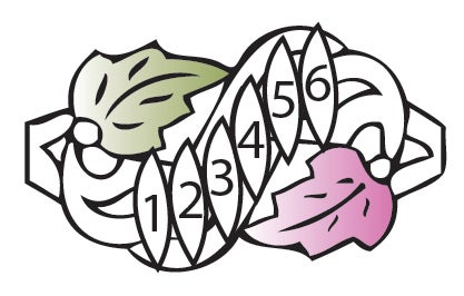 Black Hills Gold or Sterling Silver Mother&#39;s Ring - 2 to 6 stones