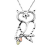 Black Hills Silver Owl Necklace (2MRLPE3100)