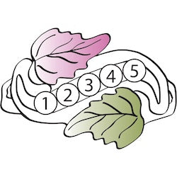 Black Hills Gold Mother&#39;s Birthstone Ring - 2 to 5 stones