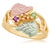 Black Hills Gold Mother's Birthstone Ring - 2 to 5 stones