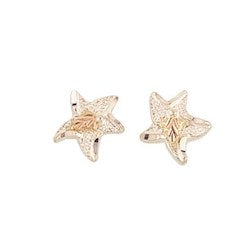 Black Hills Gold Sterling Silver Star Fish Earrings